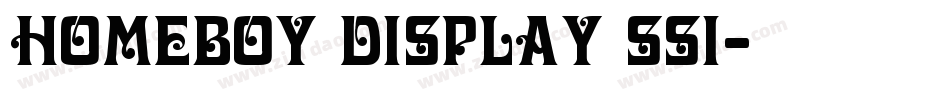 Homeboy Display SSi字体转换